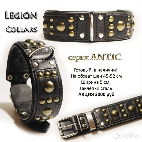 Ошейники для собак Legion Collars
