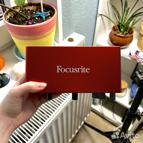 Внешняя звуковая карта Focusrite Scarlett + xlr купить в Санкт ...