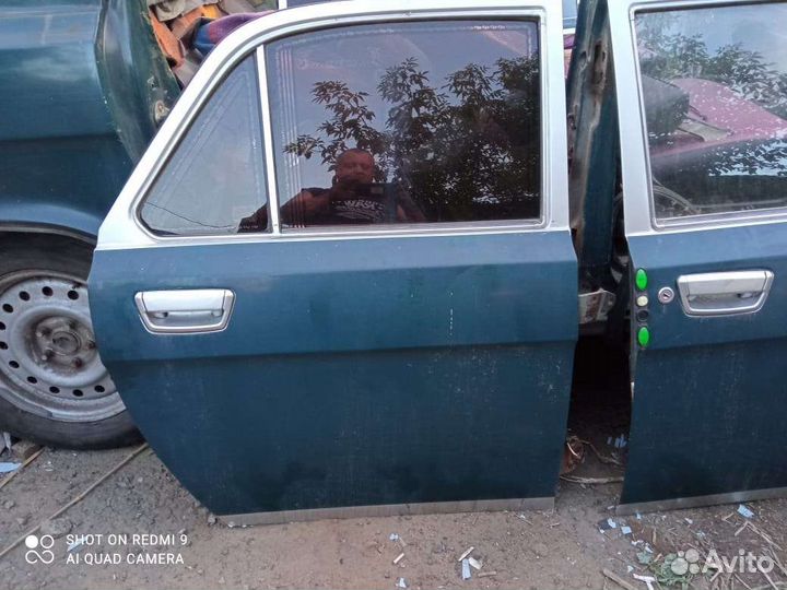 Двери на газ 3102