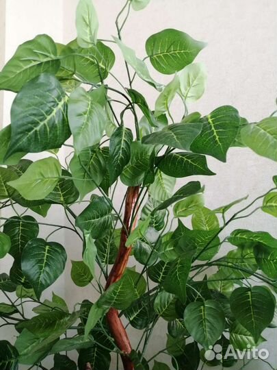 Искусственное дерево 1,7 метра