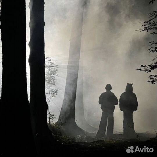 Арбитраж p2p