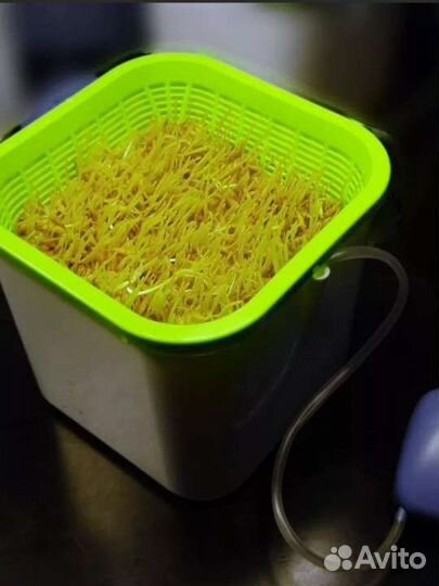 Здоровье клад чудо грядка