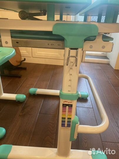 Растущая парта Fanky Kids (Фанки Кидс)