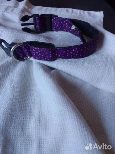 Новый светодиодный ошейник