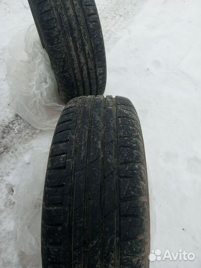 Accelera 651 Sport 175/75 R14 22H