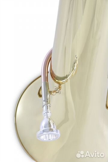 Туба Roy Benson TB-312B