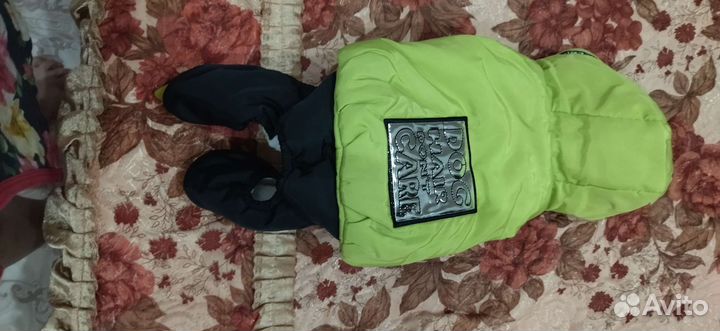 Одежда для собачки(зима)