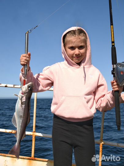 Рыбалка на Кольском. Треска, Горбуша