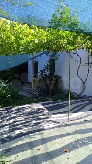 Участок 12 сот. (СНТ, ДНП)