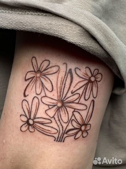 Иллюстратор - дизайнер- тату мастер