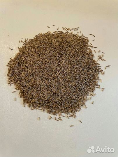 Семена для газона