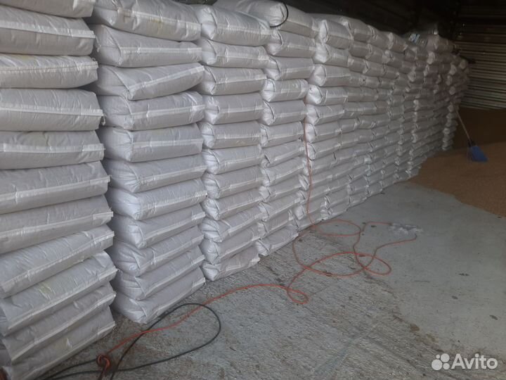 Зерно пшеница,овес,ячмень