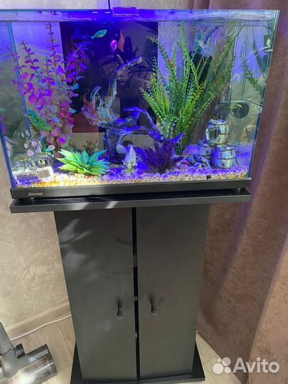 Аквариум с тумбой и рыбками