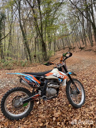 Kayo k1 mx 250