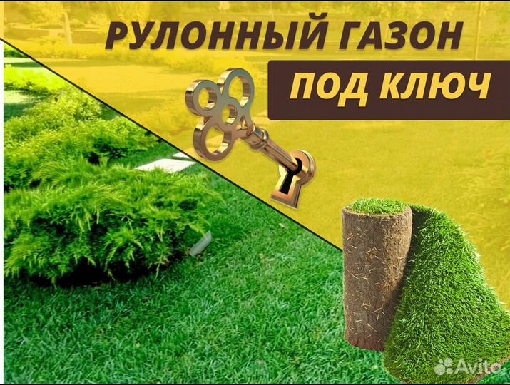Элитный рулонный газон укладка