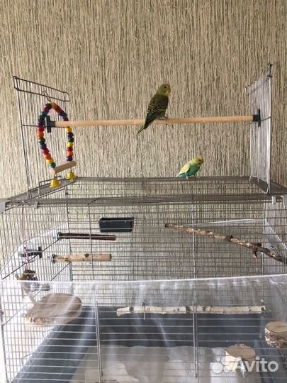 Клетка для попугаев и птиц
