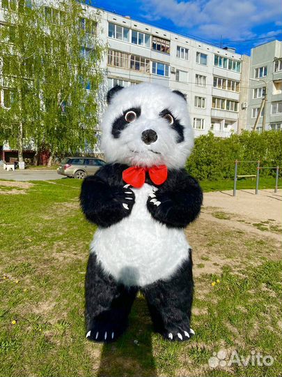 Надувной костюм панда,ростовая кукла