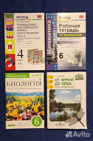 Рабочие тетради разные 4-7 классы