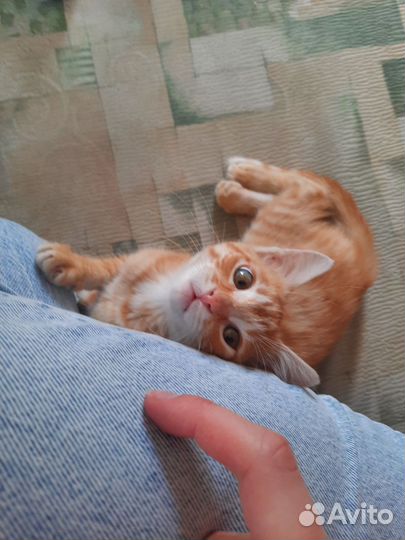 Ищу любящую и добрую маму