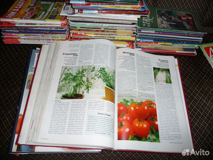 Журналы Приусадебное хозяйство 90-х, Крестьянка