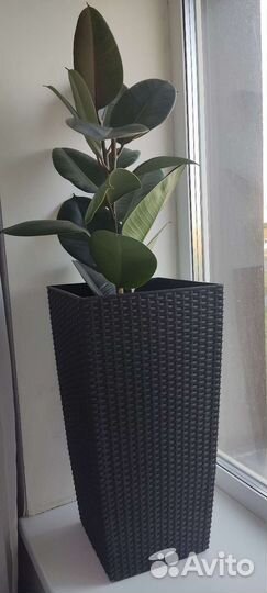 Кашпо lechuza 56см