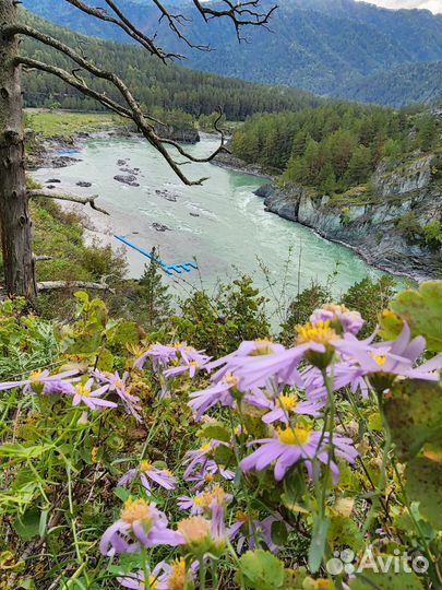 Гид по Алтаю, Экскурсии, Туры
