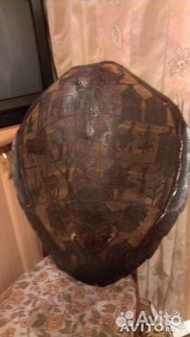 Панцирь морской черепахи Африка