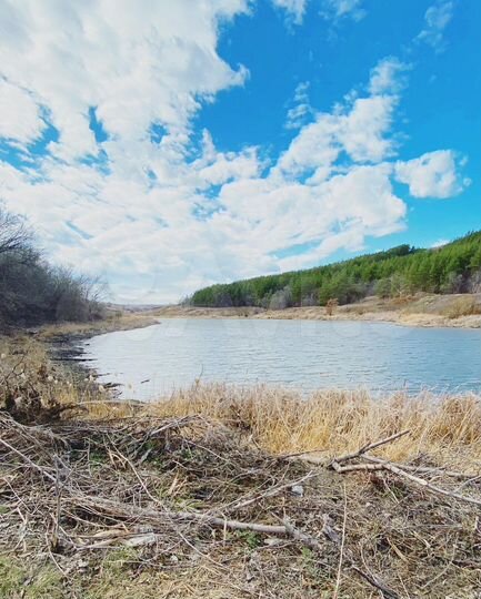 Дом 20,3 м² на участке 12 сот.