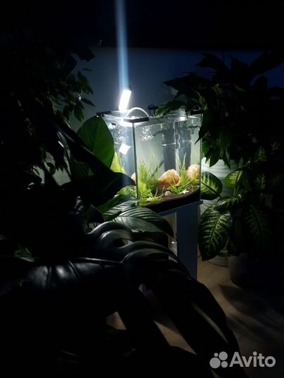 Аквариум Aquael 30