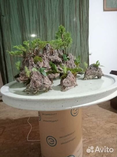 Фонтан бонсай