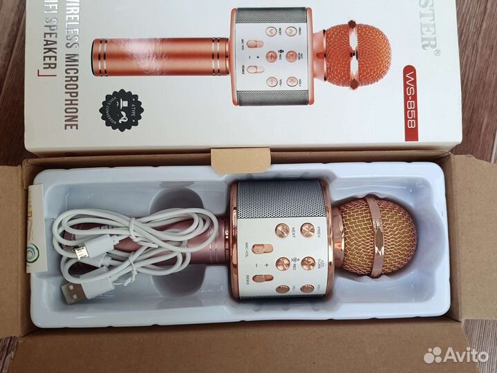 Оригинальный микрофон wster WS-858