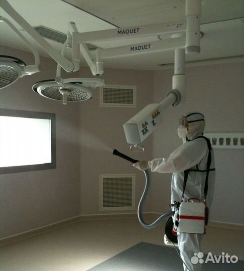 Уничтожение тараканов, клопов, блох, клещей