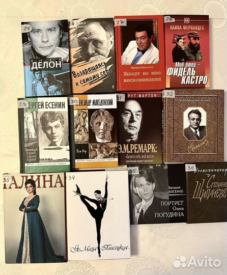 Автобиография, мемуары, воспоминания