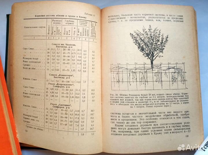 Колесников- Плодоводство Крыма Биология сорта 1951
