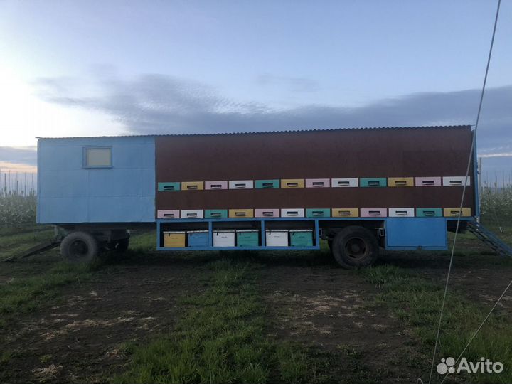 Пселосемьи, пчелопакеты, Пчелоприцеп