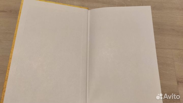 Книга В. Шамбаров 