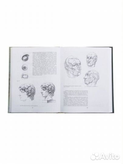 Основы академического рисунка. Н. Г. ли