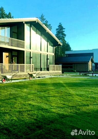 Рулонный газон