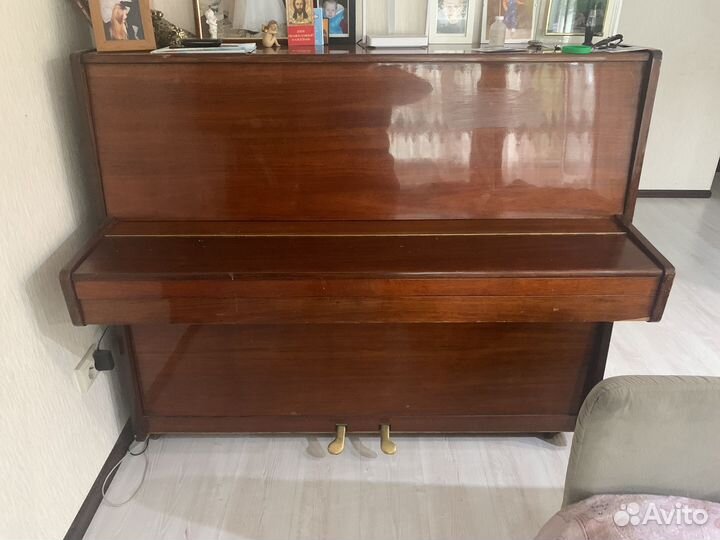 Пианино чайка