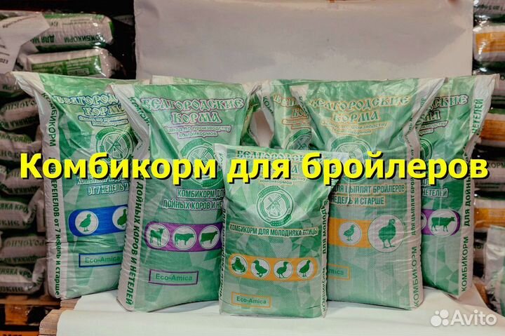 Комбикорм для бройлеров старт