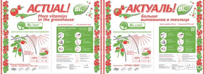 Сотовый Поликарбонат (прозрачный,цветной)