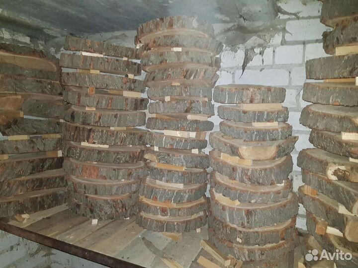 Спилы дерева