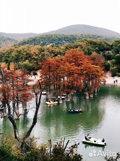 Экскурсии в Анапе