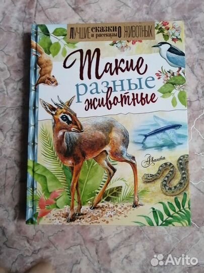 Развивающие книги о животных