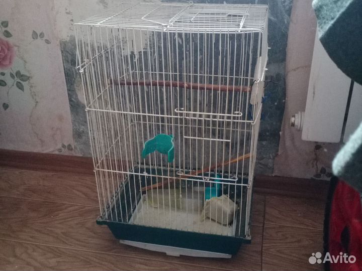 Клетка для птиц бу