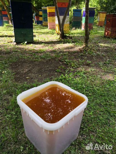 Продам свежий разнотравный мед