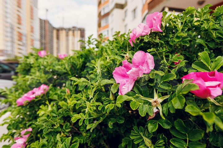 2-к. квартира, 61,9 м², 23/24 эт.