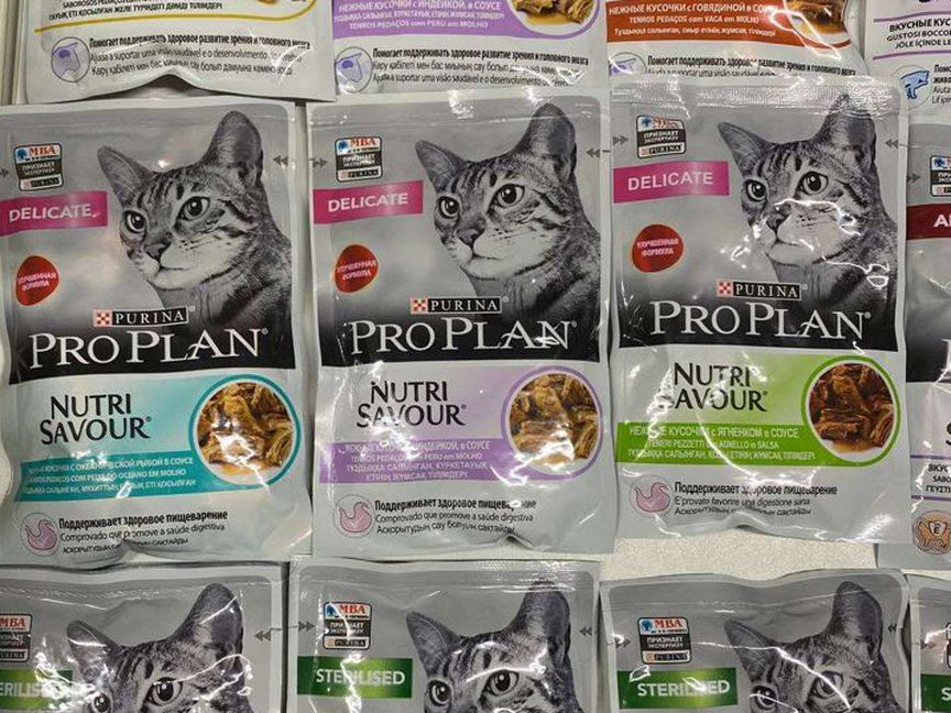 ProPlan (Pro plan) влажный корм для кошек