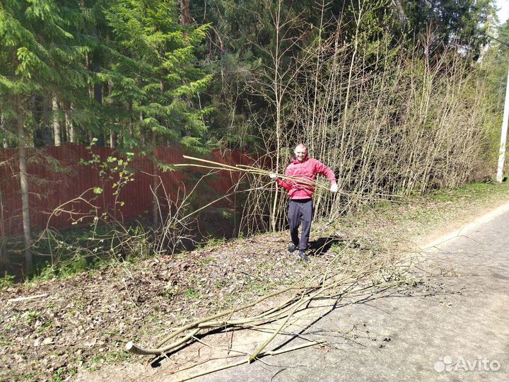 Снос демонтаж, расчистка участков