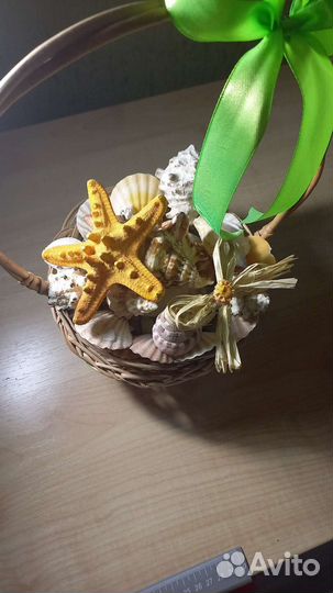 Продам ракушки с моря
